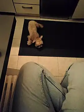 Ginevra01 online show from March 9, 8:24 pm