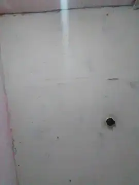 cobrosdepagos online show from February 19, 1:56 am