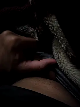 MoMnsi online show from February 25, 6:01 am