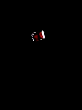 BrayingTrail online show from February 12, 1:39 pm