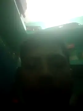 Snapshot of suhan72 chatting on February 13, 4:58 pm suhan72 online show from February 13, 4:58 pm