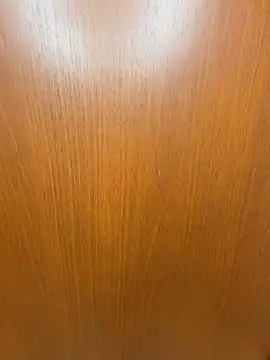 Snapshot of SANA-ch chatting on March 29, 1:44 pm SANA-ch online show from March 29, 1:44 pm