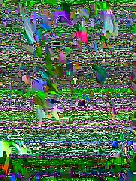 Snapshot of Sukem-mut chatting on April 6, 7:09 am Sukem-mut online show from April 6, 7:09 am