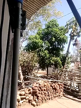 Snapshot of taniya0 chatting on March 13, 6:31 am taniya0 online show from March 13, 6:31 am