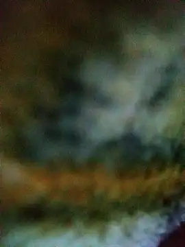 Snapshot of Avinh_09 chatting on February 15, 4:31 am Avinh 09 online show from February 15, 4:31 am