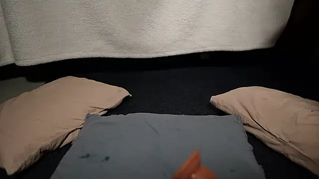 Snapshot of DLCheeks chatting on February 15, 7:51 am DLCheeks online show from February 15, 7:51 am