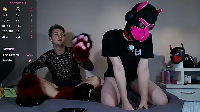 K9 GoodBoy online show from June 28, 4:57 pm