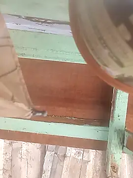 euchapo99 online show from February 19, 1:51 pm