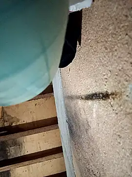 Kayleee09 online show from February 17, 1:29 pm