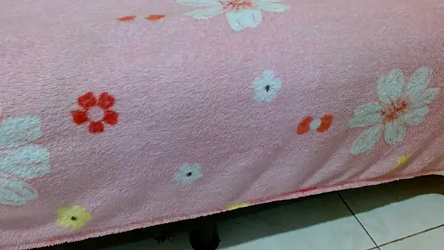 Snapshot of valkahot20 chatting on March 28, 6:35 am valkahot20 online show from March 28, 6:35 am