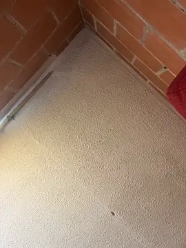 Snapshot of La_Canelita_Dulce chatting on March 30, 1:56 pm La Canelita Dulce online show from March 30, 1:56 pm