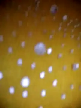 Vycute9900 online show from March 1, 1:02 pm