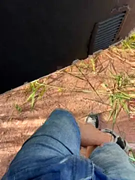 boladeouro126 online show from April 14, 5:41 pm