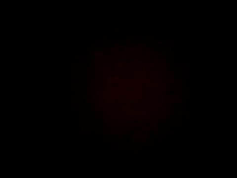 wifedesi7050 online show from April 7, 4:24 am