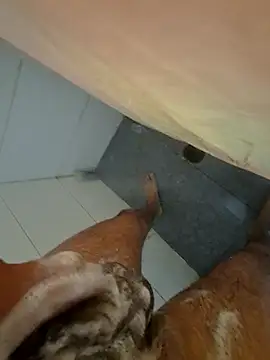 Edu235 online show from March 29, 2:50 pm