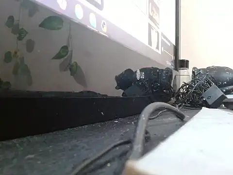 powderblu69 online show from May 6, 6:57 pm