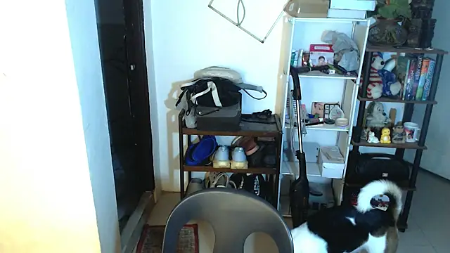 sweetasian zoe online show from May 2, 4:12 pm