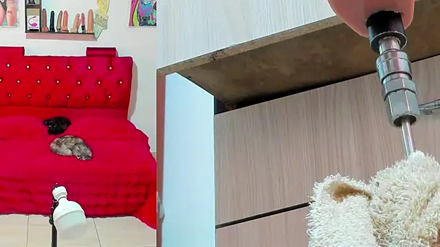 bella  funny online show from May 13, 6:05 pm