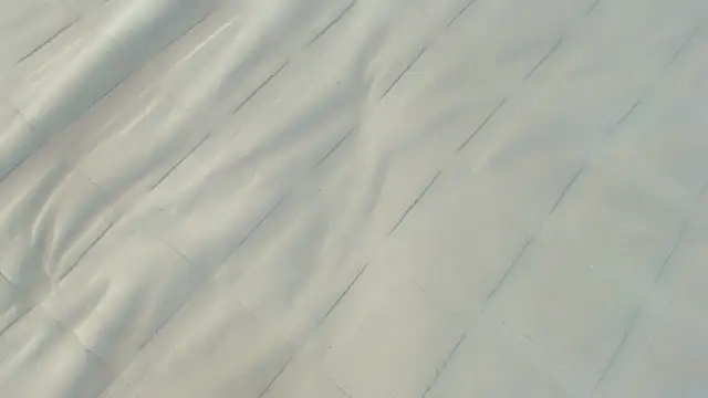 Ass Lovss online show from June 12, 9:41 am