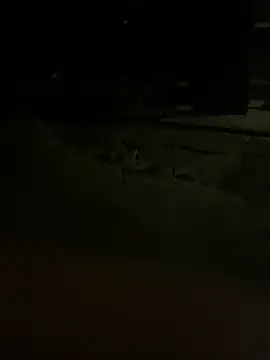 princessandthefootjob online show from March 31, 4:35 am