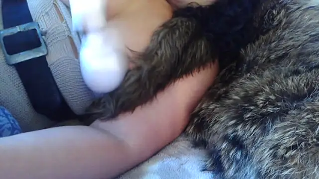 Snapshot of BunnyYT chatting on March 10, 11:59 am BunnyYT online show from March 10, 11:59 am