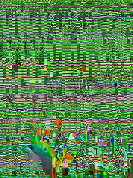 micosilpro online show from March 8, 3:49 pm