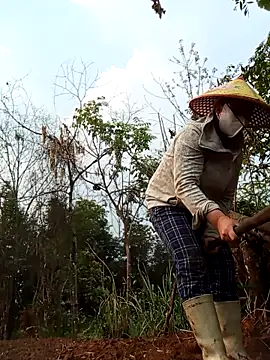 Heylen hooo online show from March 29, 1:49 am