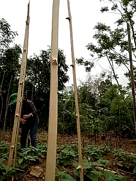 lyly sexx online show from April 1, 2:01 am