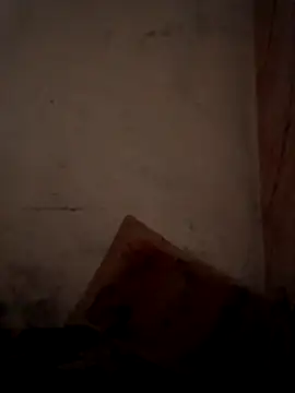 Snapshot of CoralN chatting on April 1, 3:51 am CoralN online show from April 1, 3:51 am