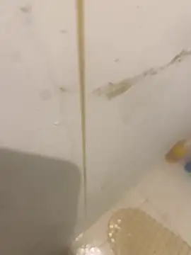 Snapshot of bichalouca chatting on March 31, 9:15 pm bichalouca online show from March 31, 9:15 pm