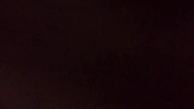 PUMPNPIG online show from April 8, 8:03 am