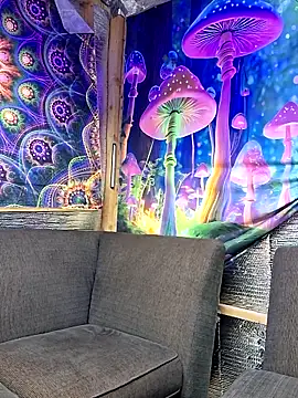 drednasty online show from March 31, 12:01 am