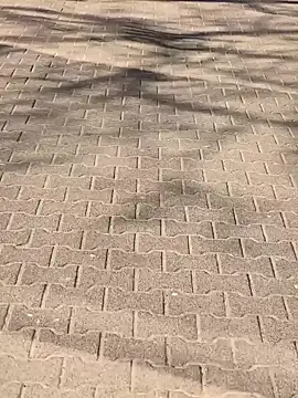 MarekPublicShow online show from March 6, 1:18 pm