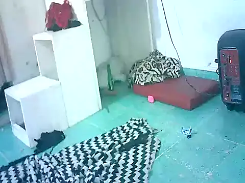 Snapshot of naomitrans32 chatting on April 1, 5:41 am naomitrans32 online show from April 1, 5:41 am