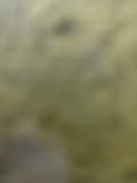 clayto77 online show from March 6, 12:07 am