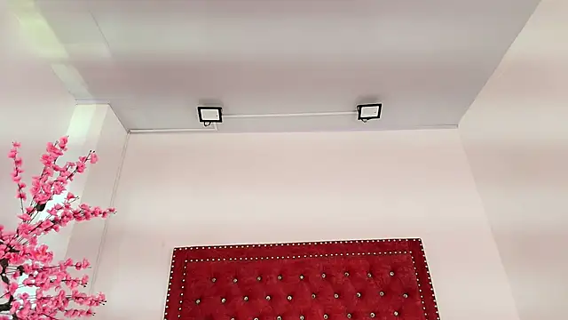 Snapshot of Daphne_glas chatting on April 1, 1:41 pm Daphne glas online show from April 1, 1:41 pm