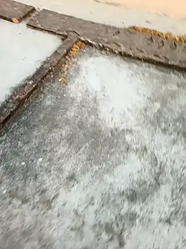 Snapshot of Desii_rockstarr chatting on March 11, 1:11 am Desii rockstarr online show from March 11, 1:11 am