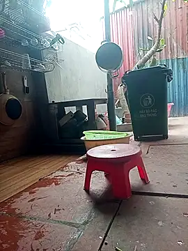 Snapshot of Leylin_1 chatting on March 23, 6:06 am Leylin 1 online show from March 23, 6:06 am