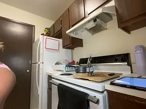 Snapshot of stripperbarbie chatting on March 18, 1:53 am stripperbarbie online show from March 18, 1:53 am