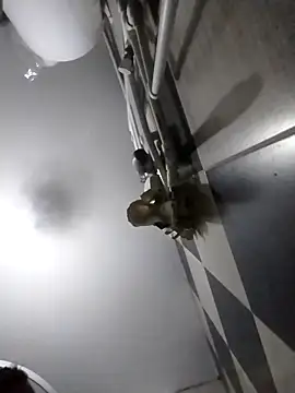 Snapshot of luys23 chatting on April 4, 3:05 am luys23 online show from April 4, 3:05 am