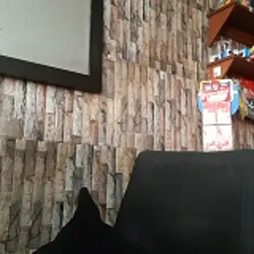 Snapshot of jhosuamoore chatting on March 24, 7:52 pm jhosuamoore online show from March 24, 7:52 pm