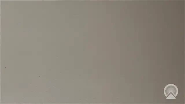 Snapshot of Shynesse21 chatting on March 26, 11:38 am Shynesse21 online show from March 26, 11:38 am