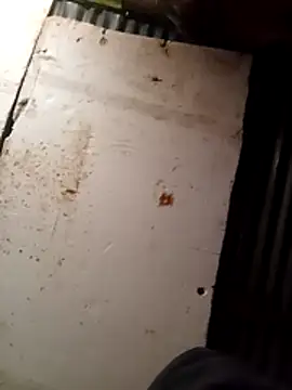 cuteboy023dick online show from March 15, 1:50 pm