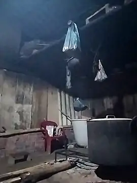 Lanin-i online show from March 29, 12:27 pm