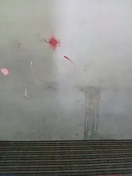 School teacher12 online show from March 28, 6:35 am