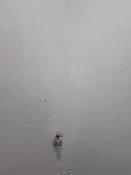 Aila Phone online show from March 29, 2:06 pm