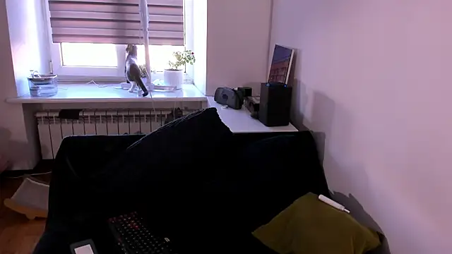 geserm online show from April 1, 1:41 pm