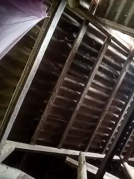 Snapshot of Nthk6 chatting on March 18, 6:05 am Nthk6 online show from March 18, 6:05 am