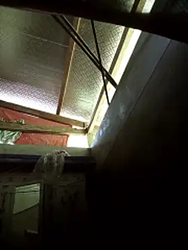 Snapshot of -Tiduta- chatting on March 29, 4:56 am -Tiduta- online show from March 29, 4:56 am