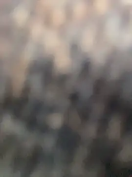 Snapshot of Anitta__LS chatting on April 2, 8:06 pm Anitta LS online show from April 2, 8:06 pm